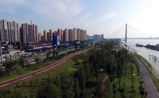 工程总承包_中国一冶集团